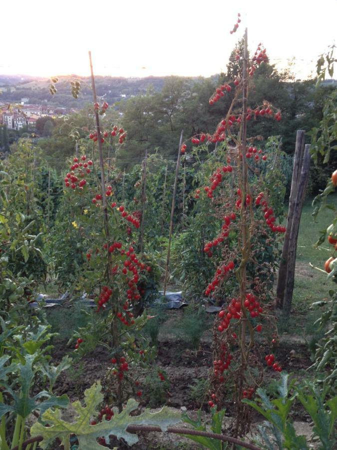 Il Borgo Delle Grazie Villa Овада Екстериор снимка